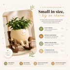 Pottling™ Rocking Plant